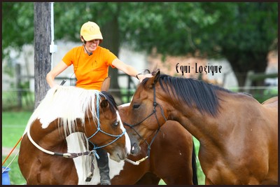 Anne Fontaine et ses chevaux