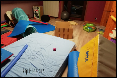 Anne Fontaine et les jeux en salle de psychomotriicté Jeux psychomotricité