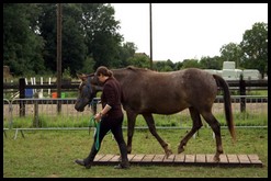 Rencontre