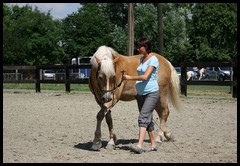 Rencontre